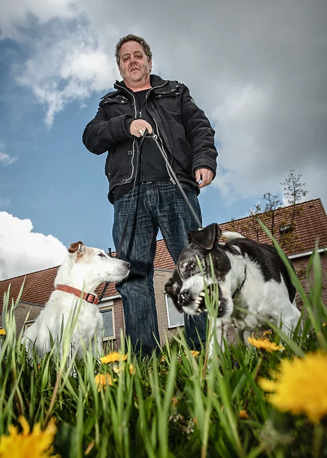 Man wandelt met twee honden in een lenteveld met paardenbloemen