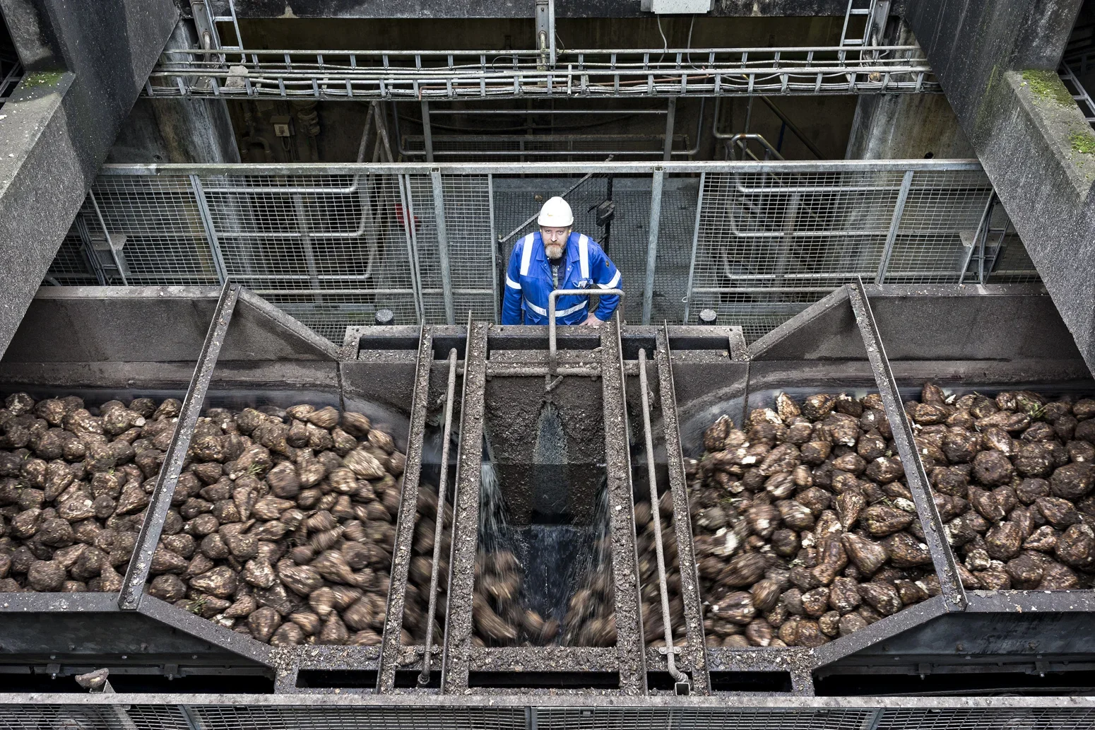 Medewerker met helm kijkt van bovenaf in industriële opslagbakken